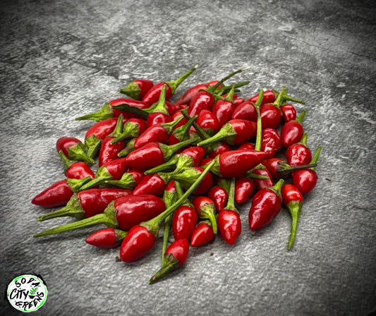 Purple Princess Variegated Pepper Seeds