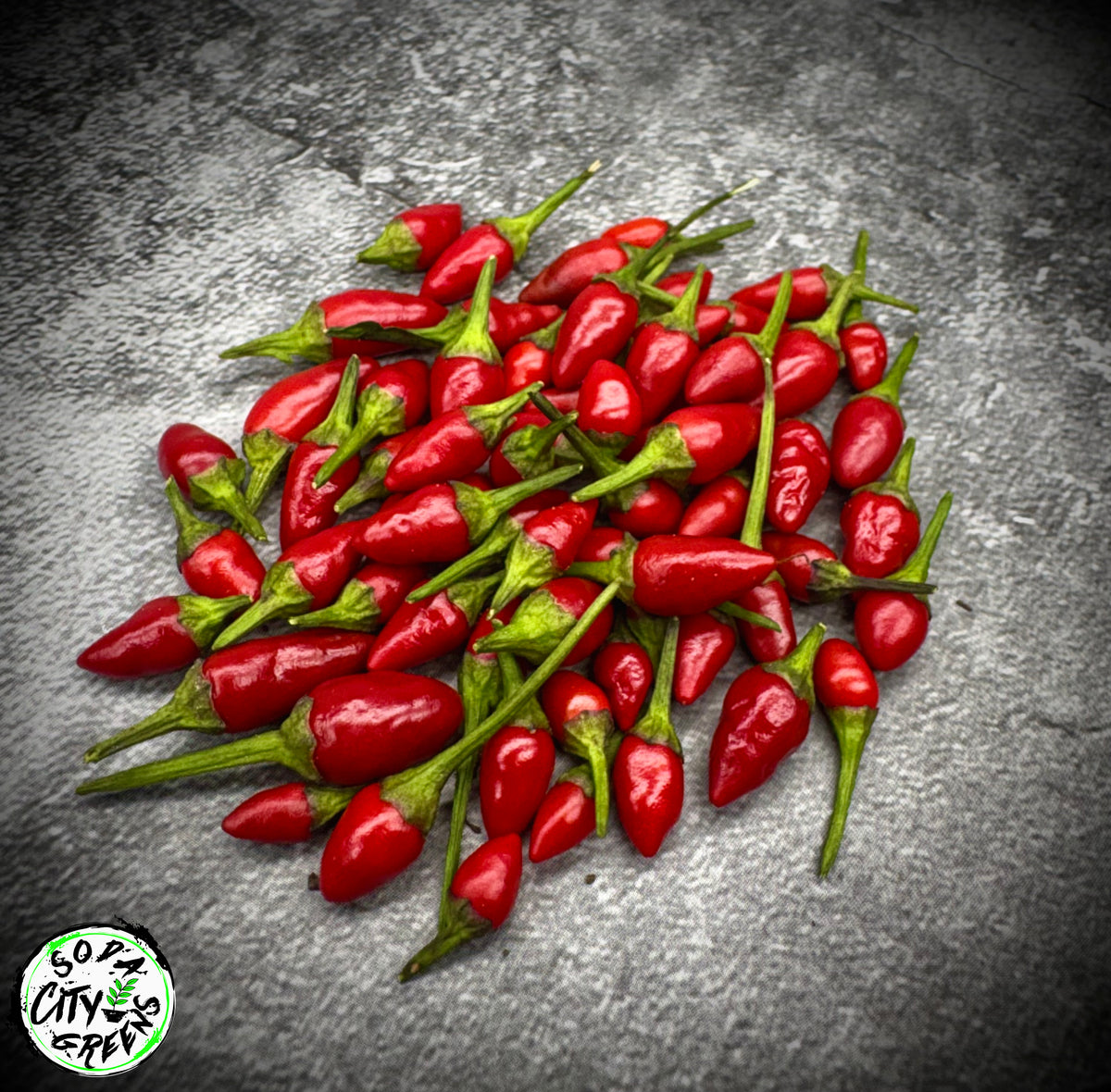 Purple Princess Variegated Pepper Seeds