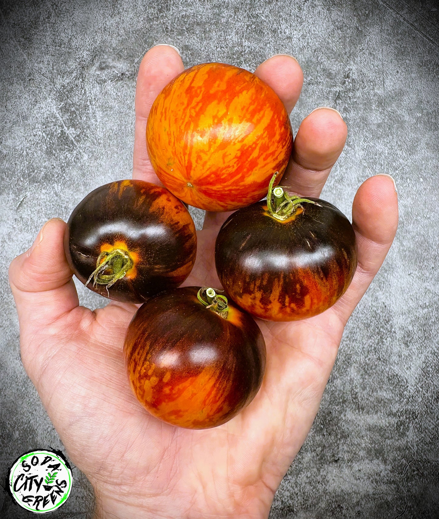 Queen of the Night Tomato Seeds