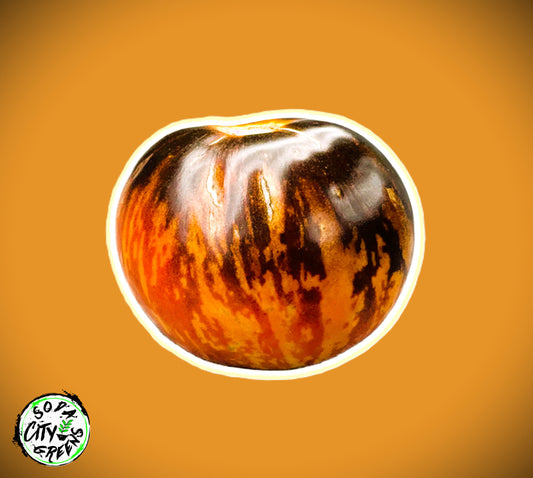 Tigerella Tomato Seeds