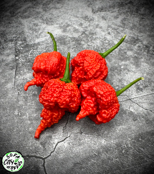 RB003 Pepper Seeds