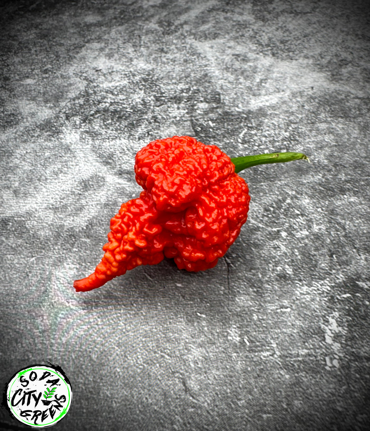 RB003 Pepper Seeds