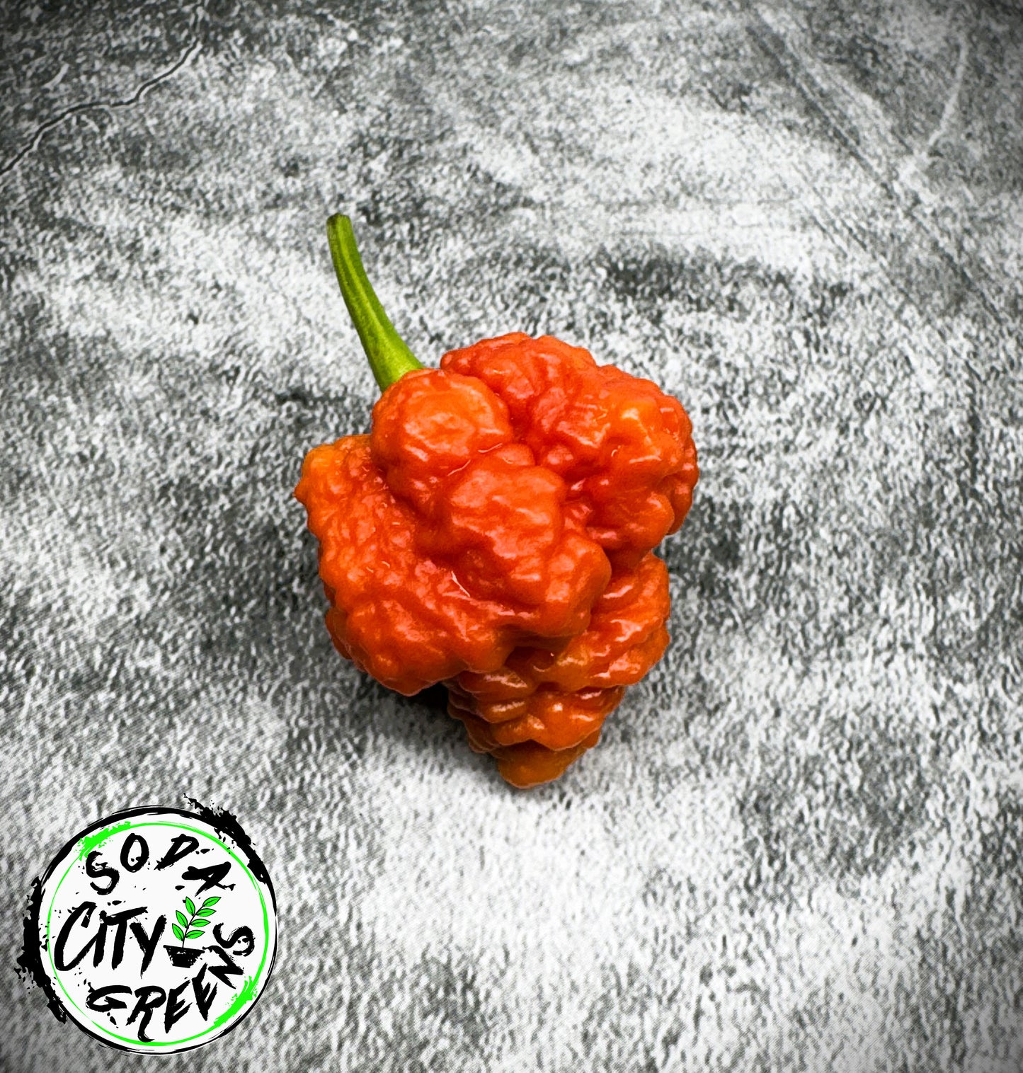 RB003 Pepper Seeds