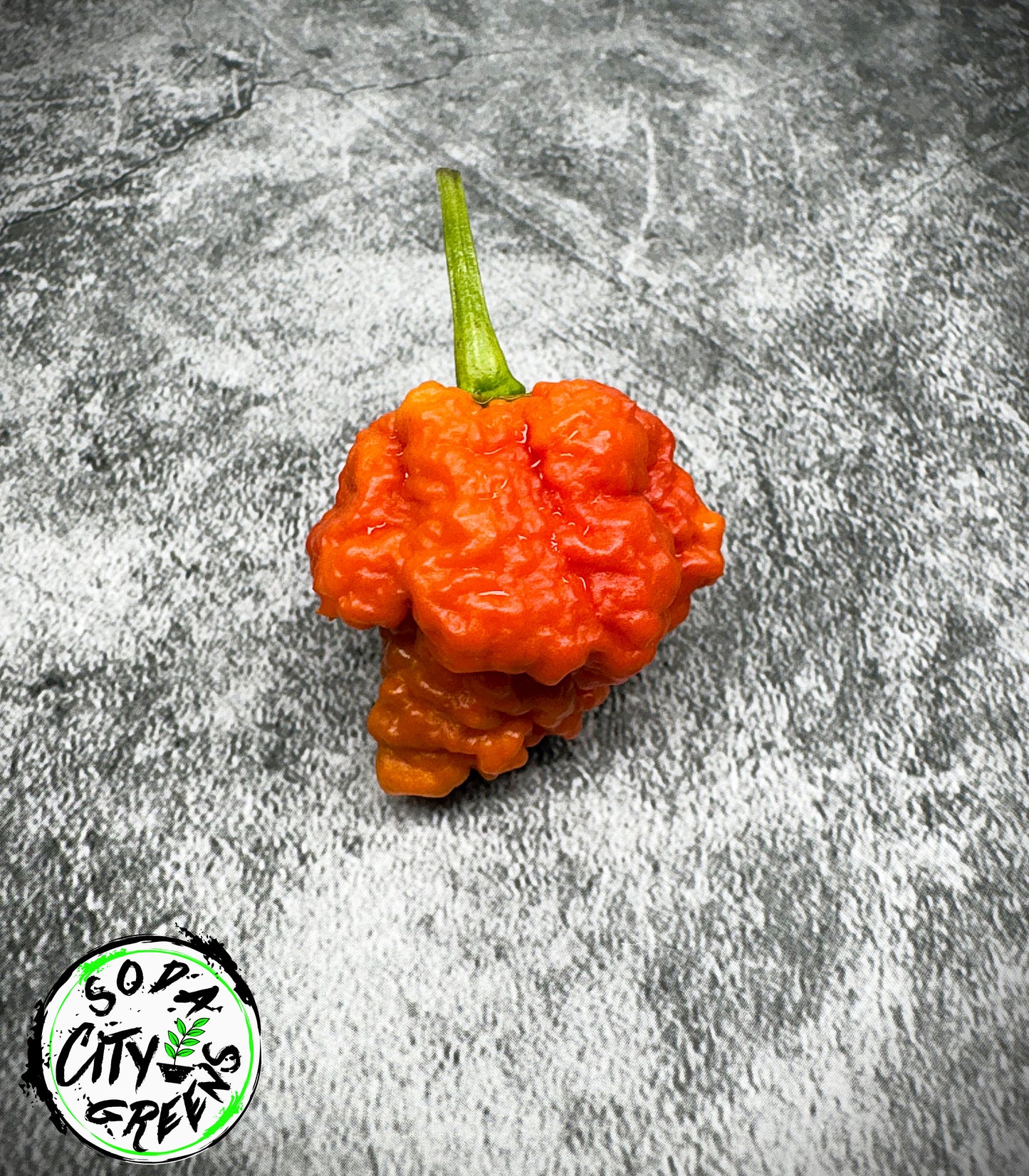 RB003 Pepper Seeds