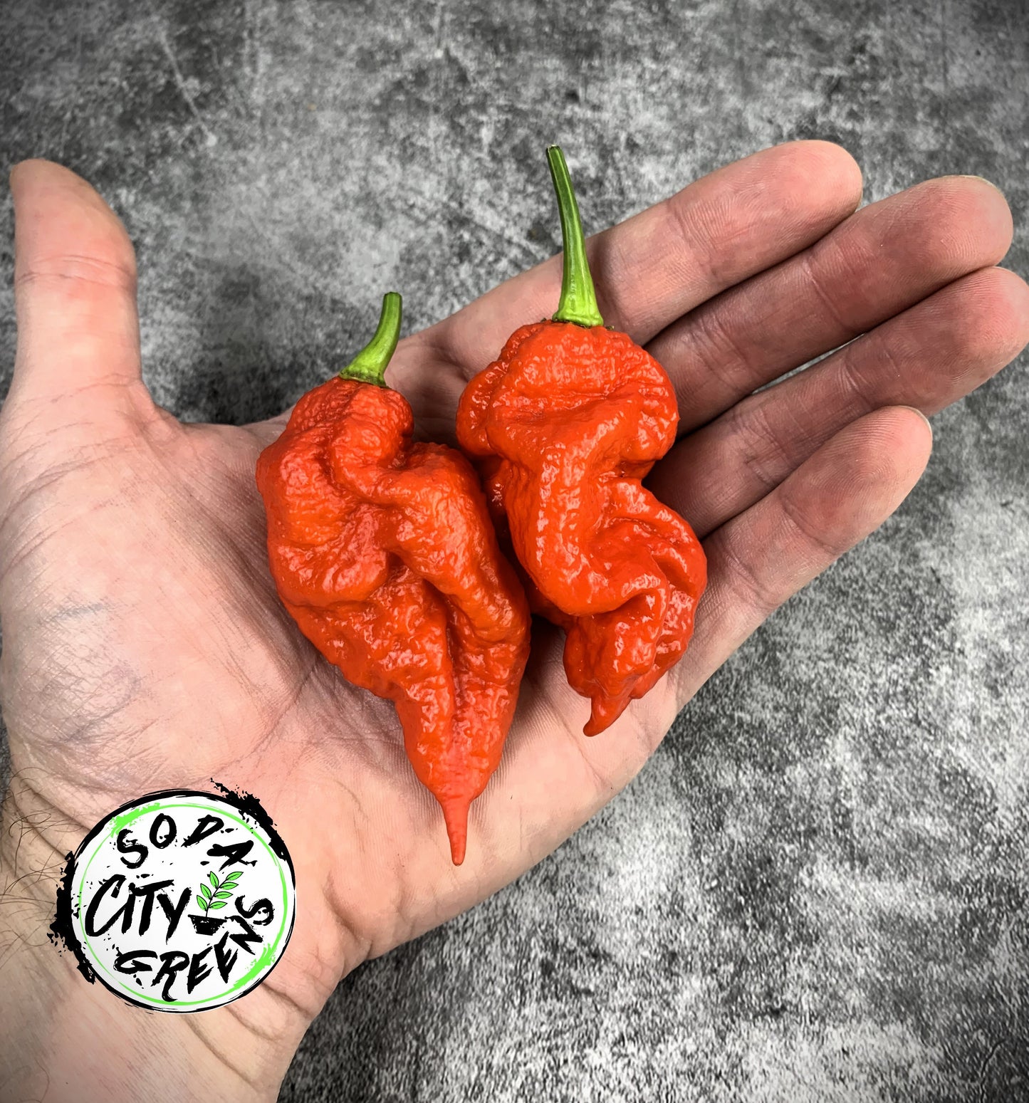 Reapion Pepper Seeds