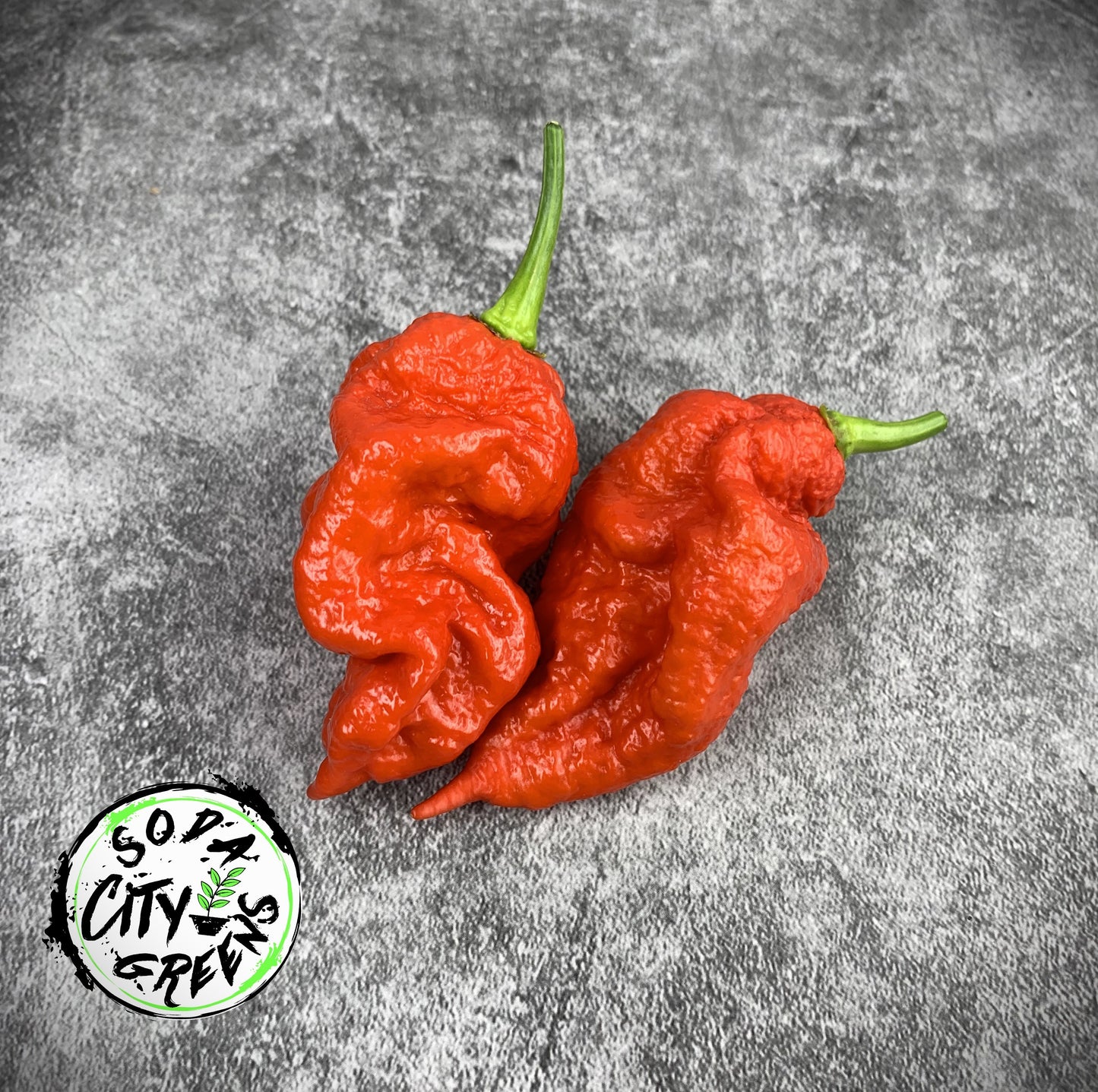 Reapion Pepper Seeds