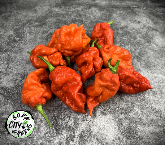 Reapion Pepper Seeds