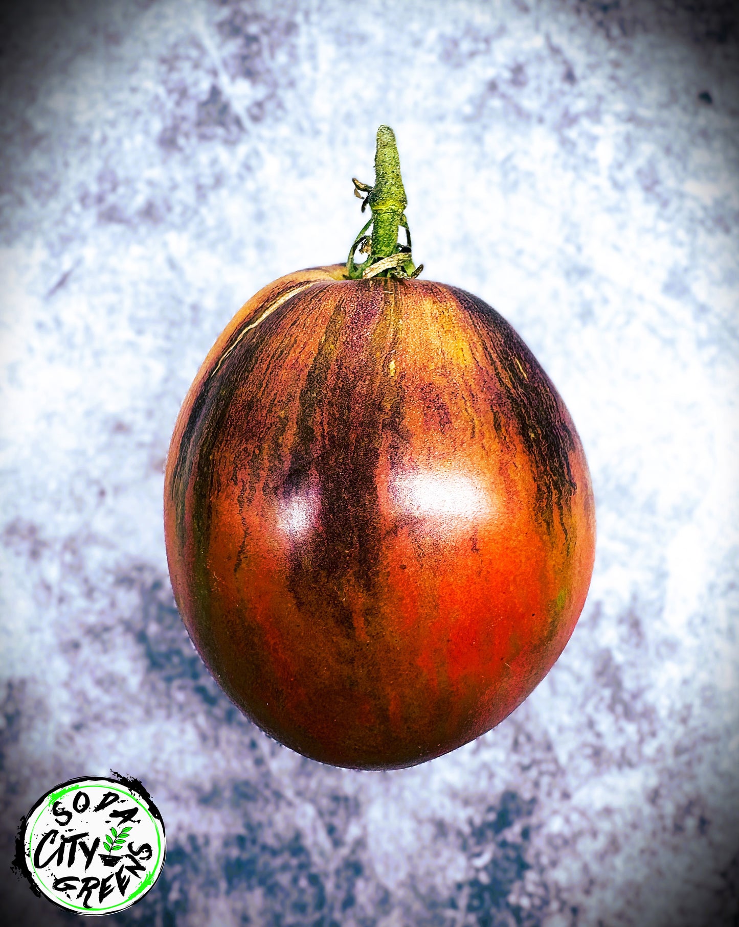 Rebel Starfighter Prime Tomato Seeds