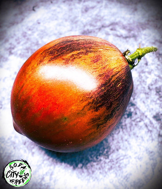 Rebel Starfighter Prime Tomato Live Plants