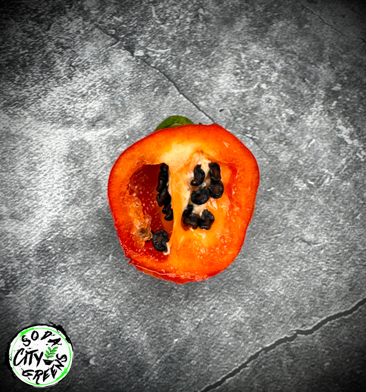 Rocoto Pepper Seeds