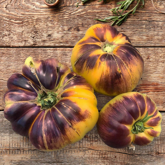 Sart Roloise Tomato Seeds