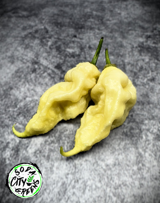 White Ghost Scorpion XL Pepper Seeds