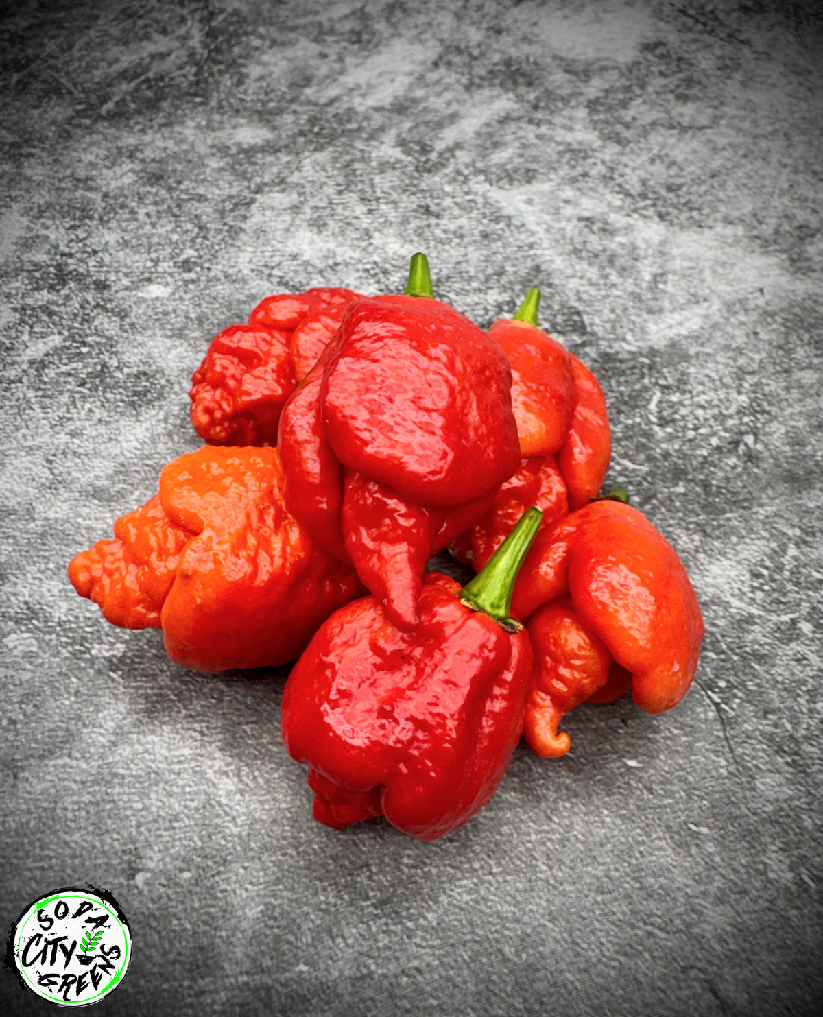 Trinidad Scorpion Pepper Seeds