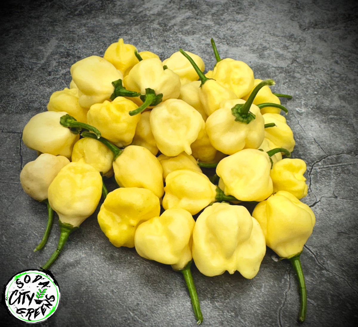 White Scorpion Pepper Seeds- Sinister Pepper Series