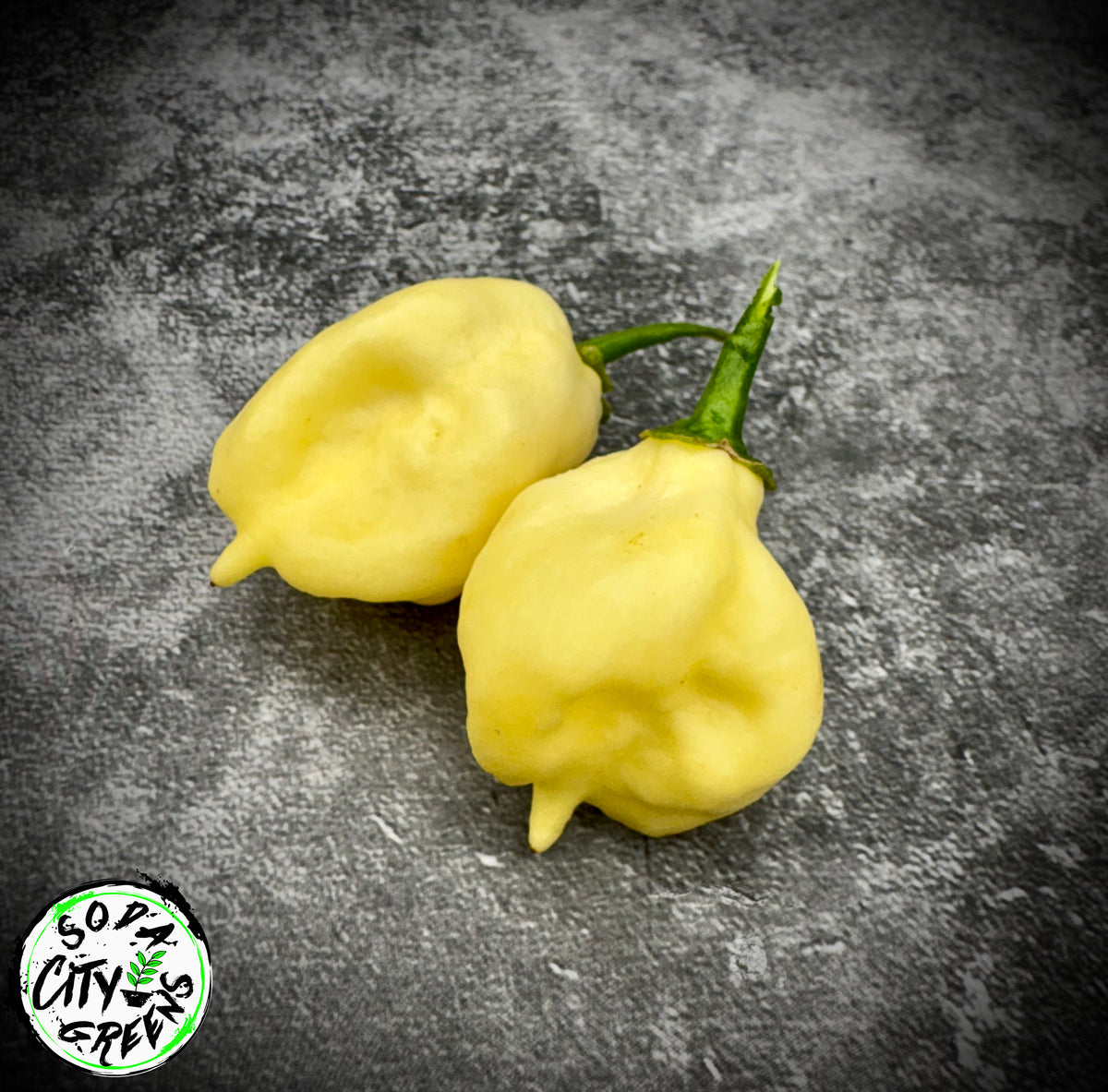 White Scorpion Pepper Seeds- Sinister Pepper Series