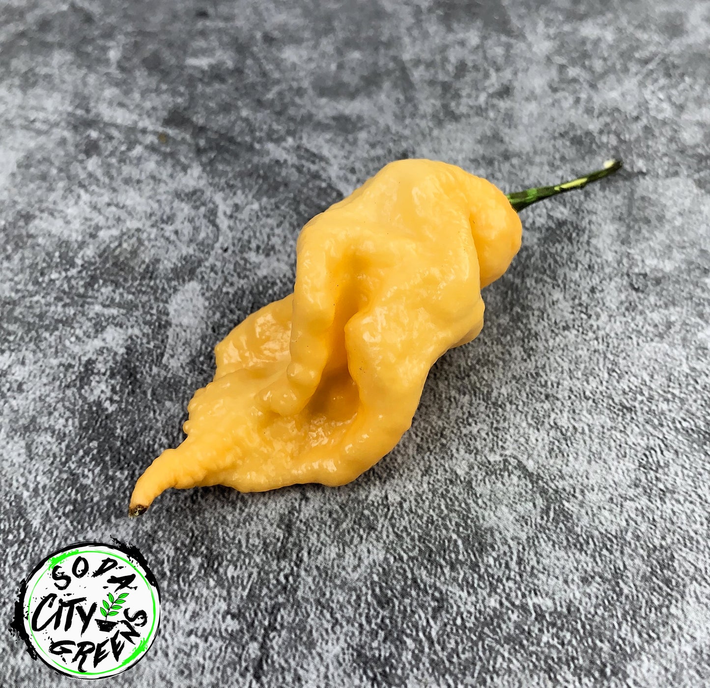 Peach Scorpion Pepper Seeds
