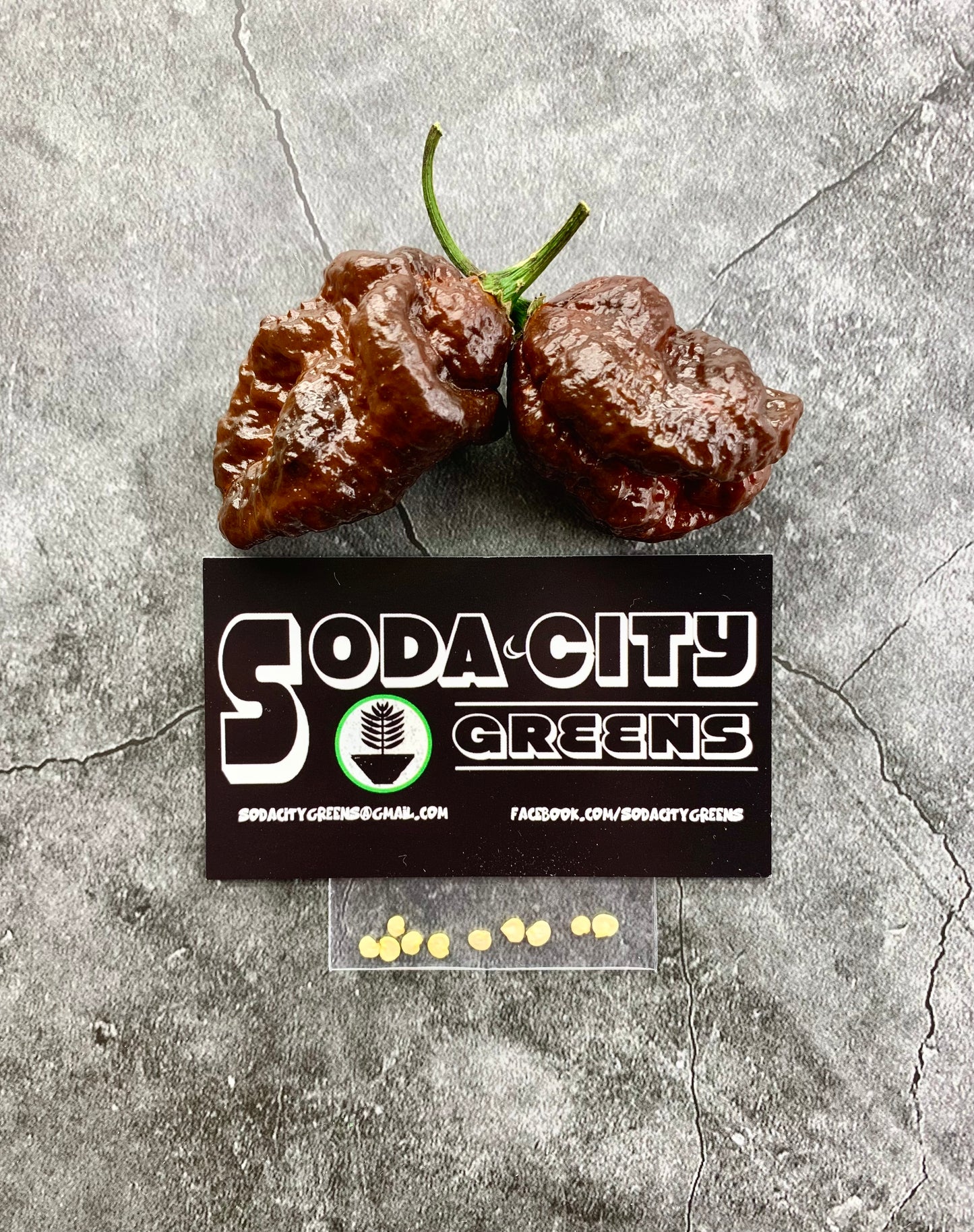 Chocolate Scorpion Pepper Seeds