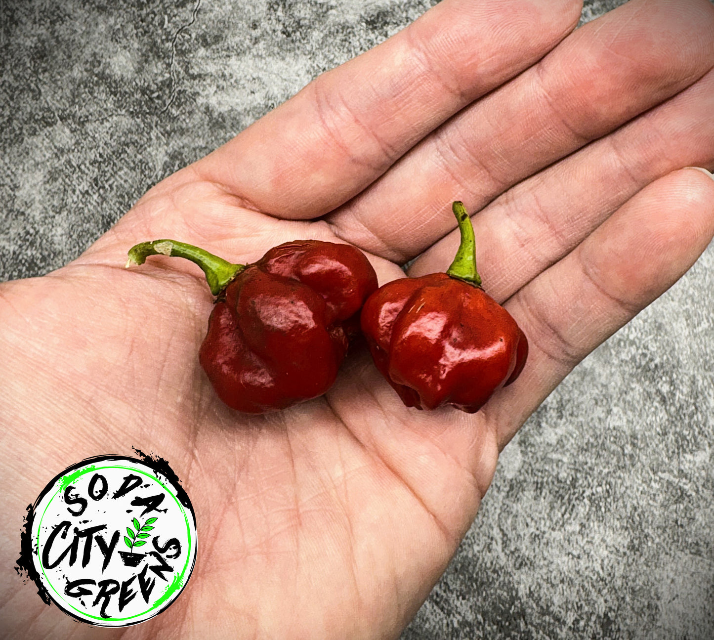 Caramel Scotch Bonnet Pepper Seeds