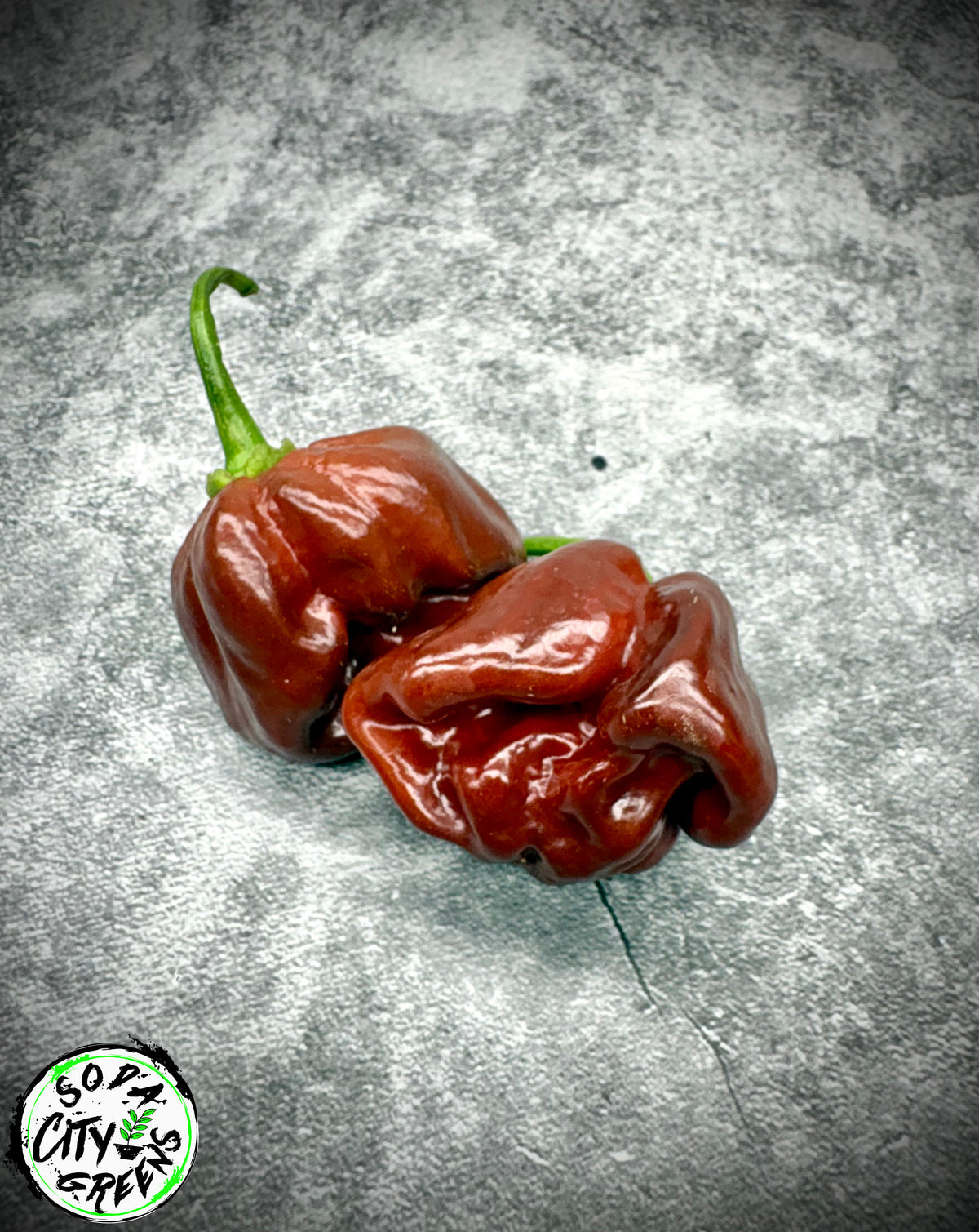 Chocolate Scotch Bonnet Pepper Seeds