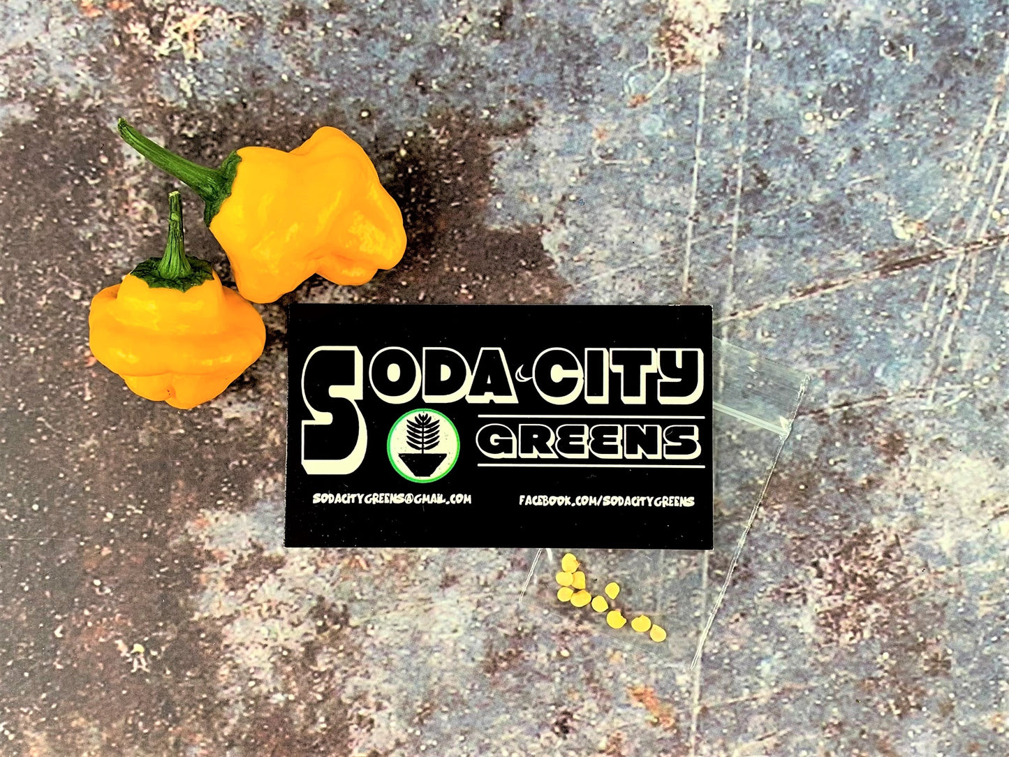Jamaican Scotch Bonnet Pepper Seeds