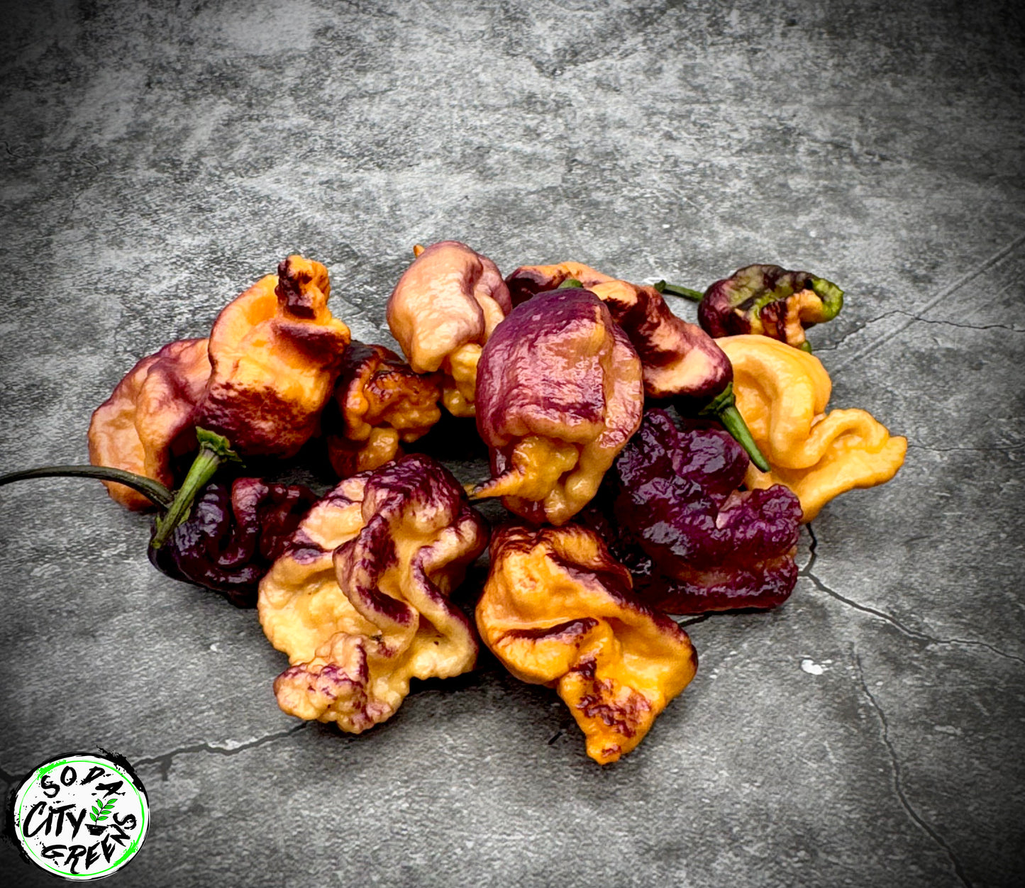 Black Sharknado T-E Pepper Seeds