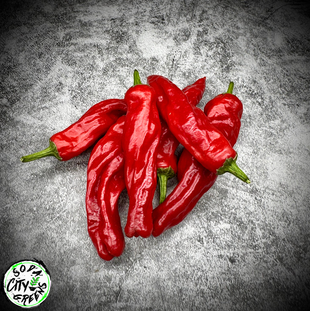 Shishito Twist Pepper Seeds