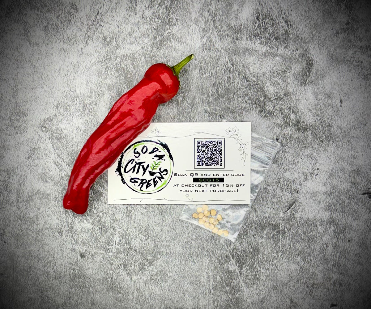 Shishito Twist Pepper Seeds