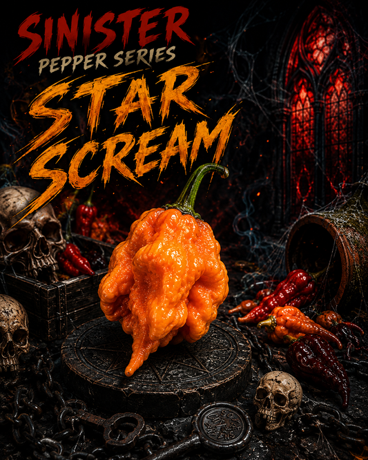 Star Scream Pepper Seeds- Sinister Pepper Series