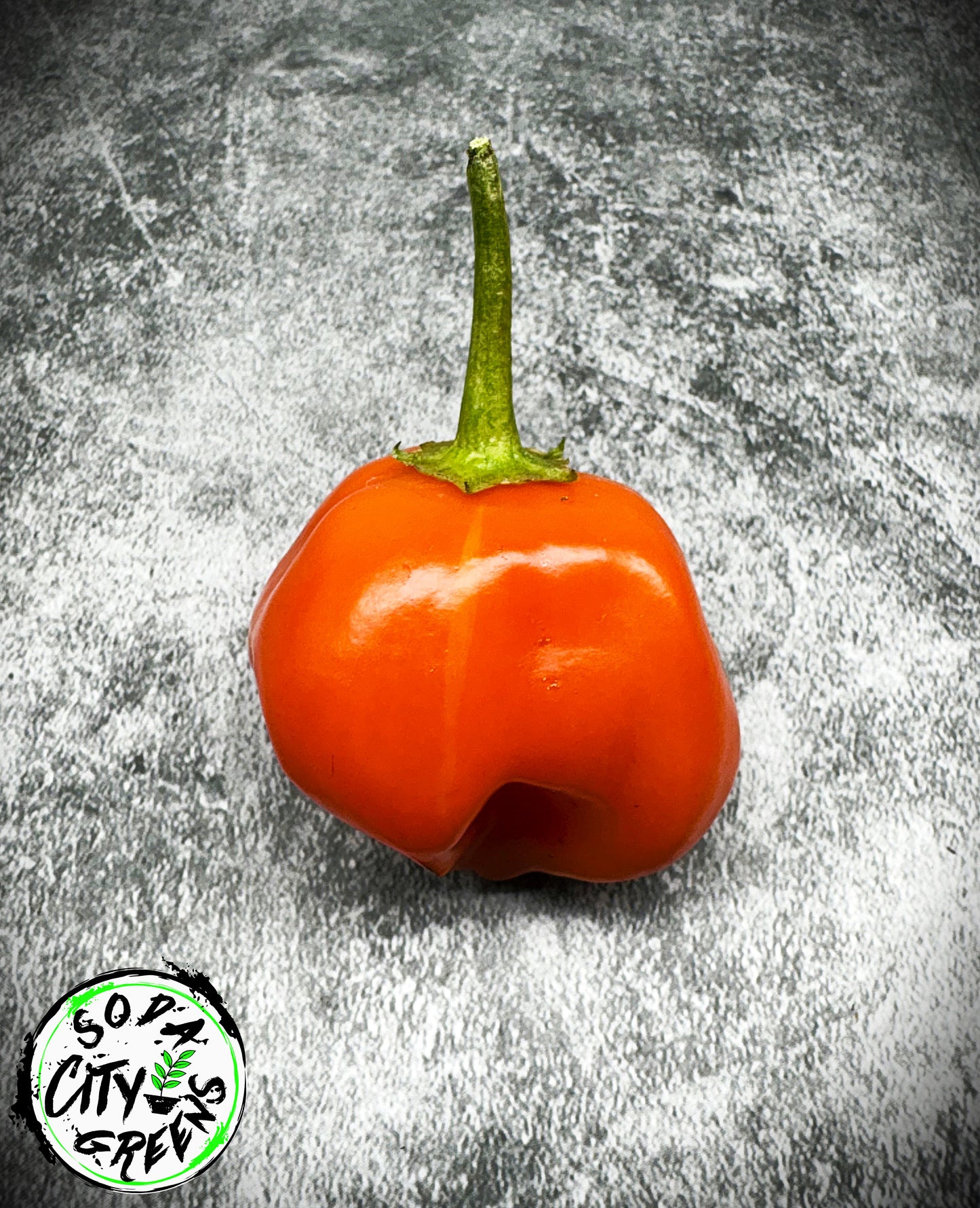 Tangerine Tiger Tropical Pepper Seeds