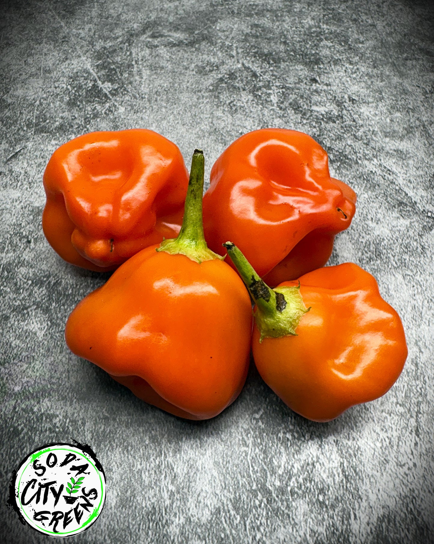 Tangerine Tiger Tropical Pepper Seeds