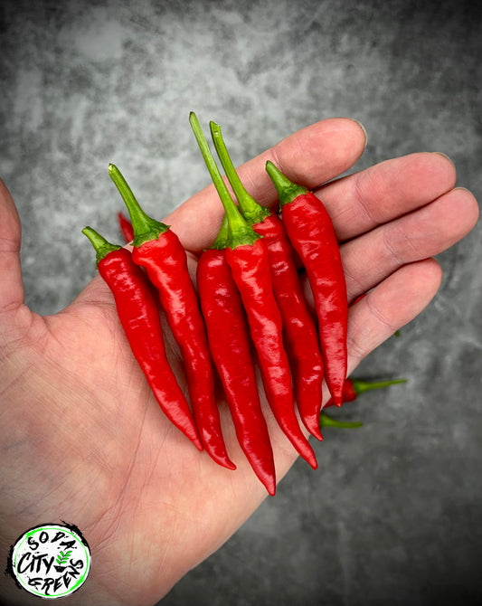 Big Thai Pepper Seeds