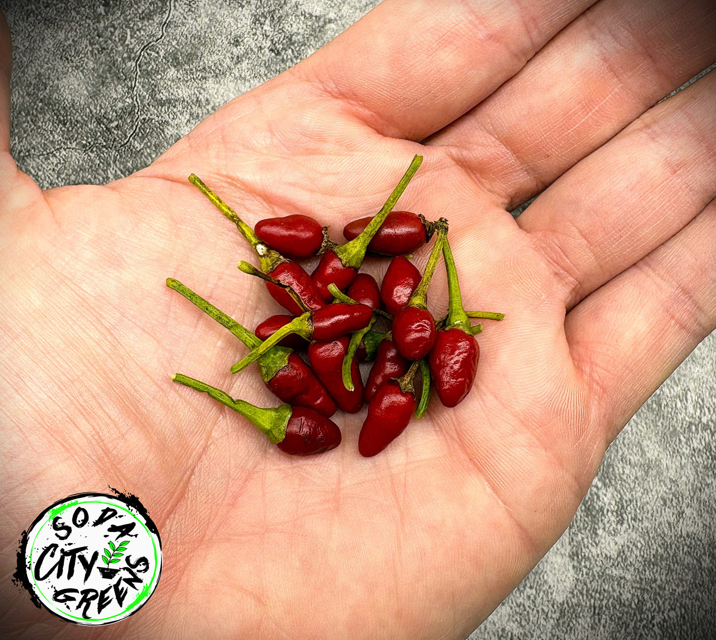 Dwarf Thai Pepper Seeds