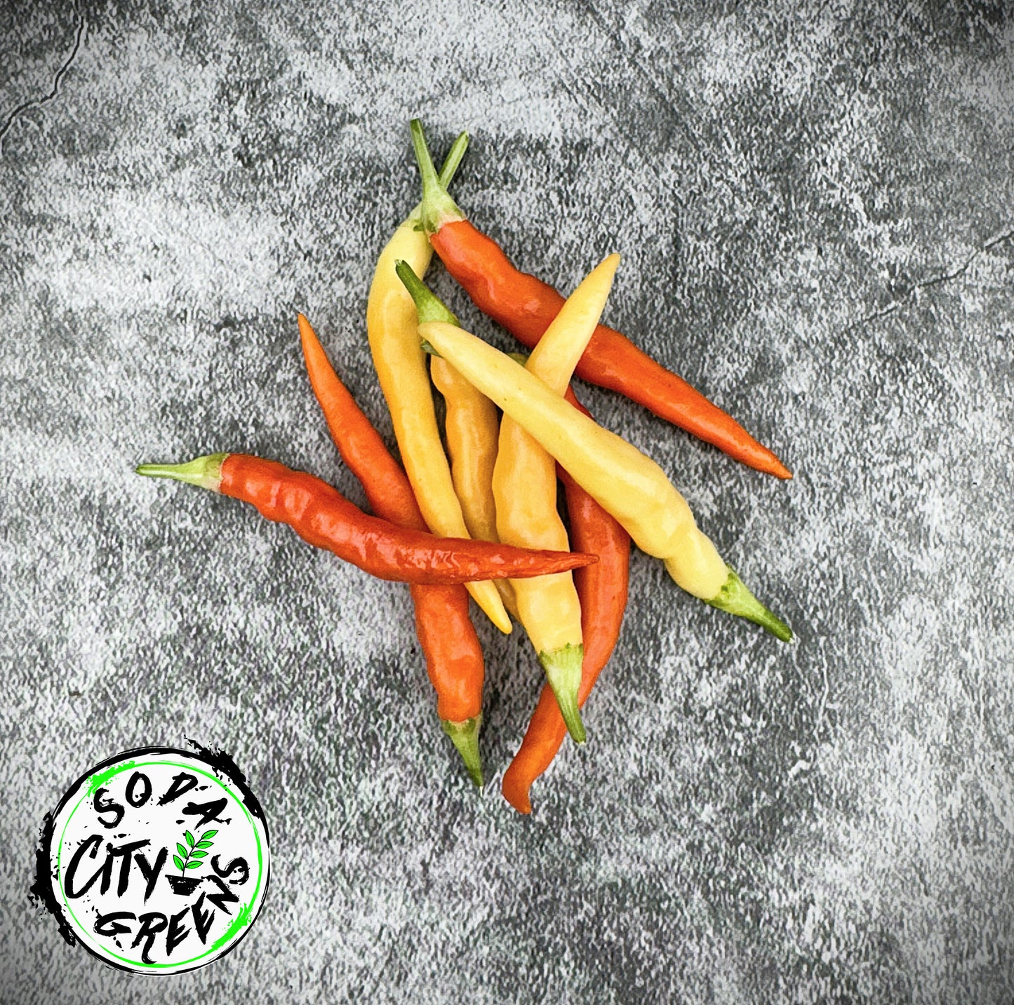 White Pepper Seed Variety Pack (You choose!)