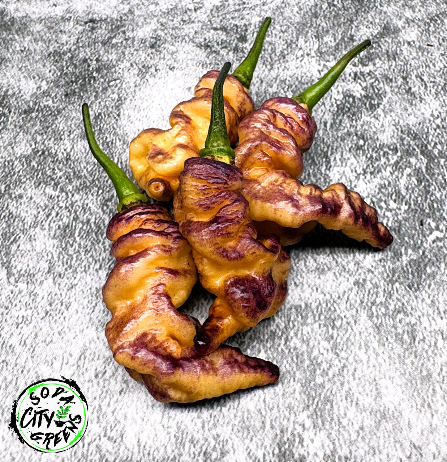 Thors Thunderbolt Pepper Seeds