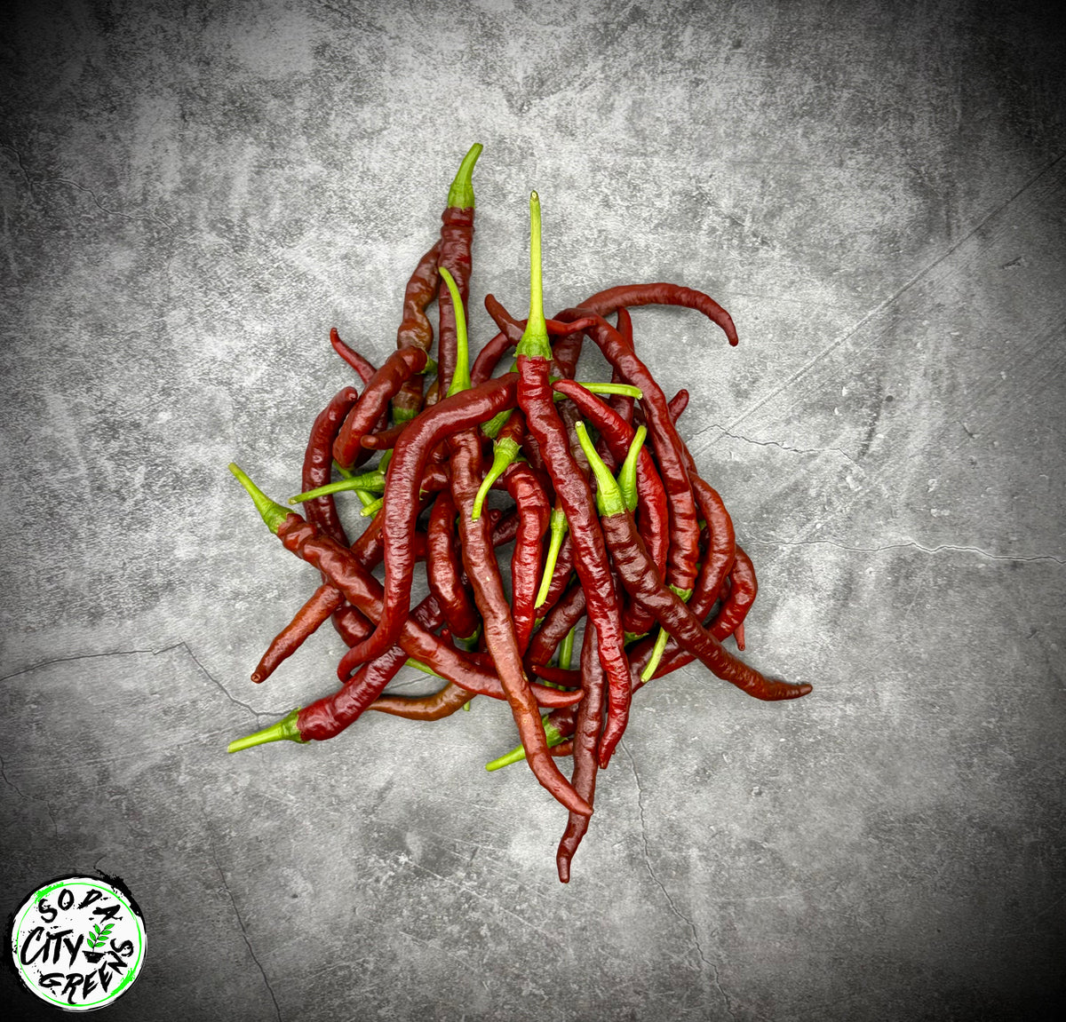 Chocolate Thunder Mountain Longhorn Pepper Seeds