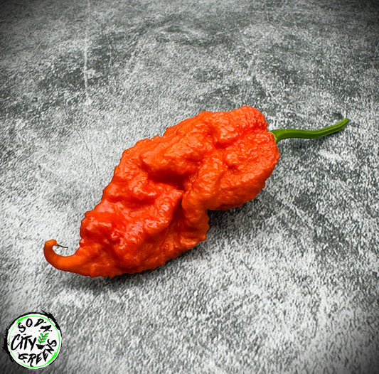 Red Tiberius Mauler Pepper Seeds