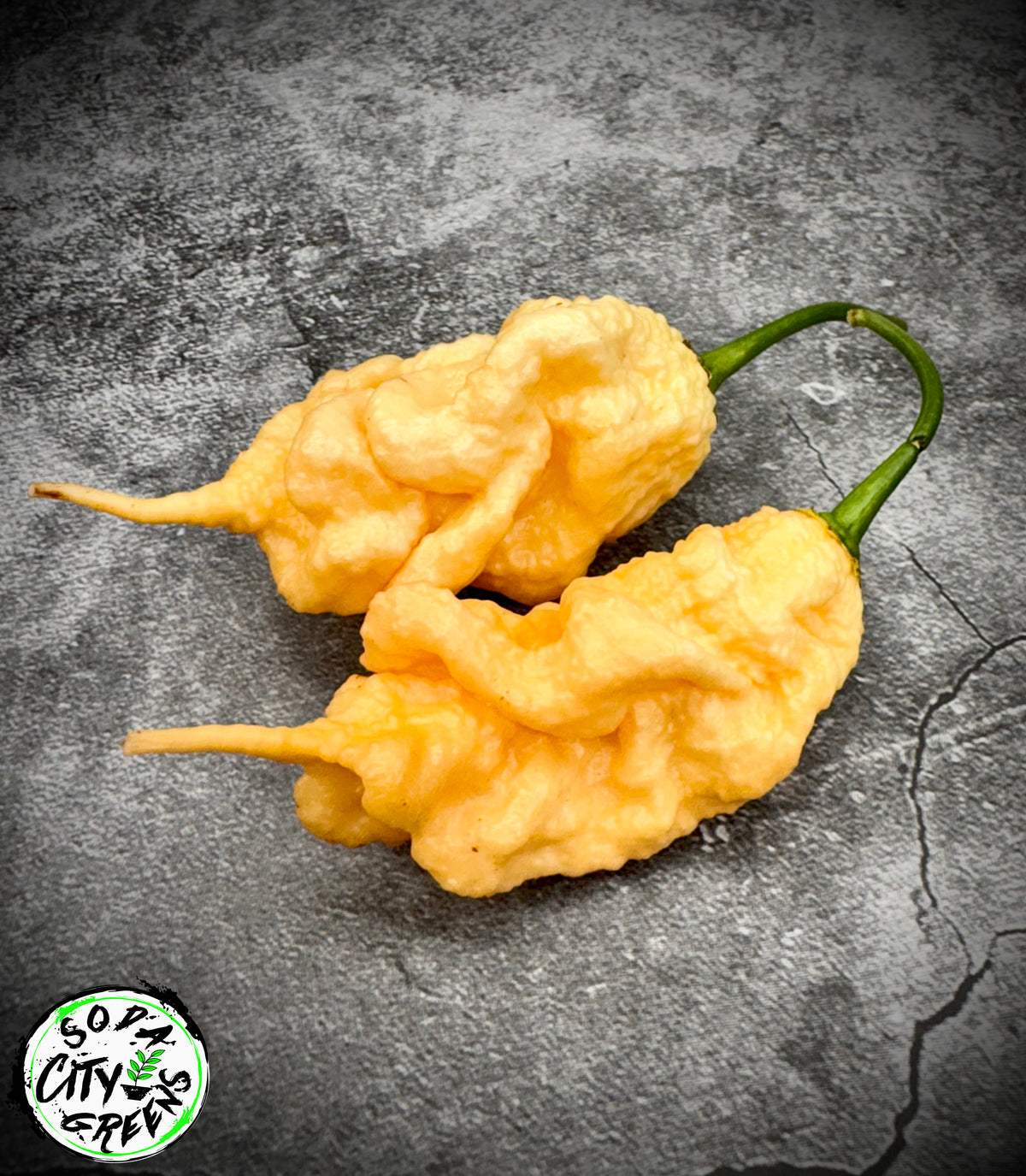 Peach Tiberius Mauler Pepper Seeds- Sinister Pepper Series