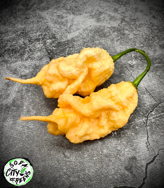 Peach Tiberius Mauler Pepper Seeds- Sinister Pepper Series
