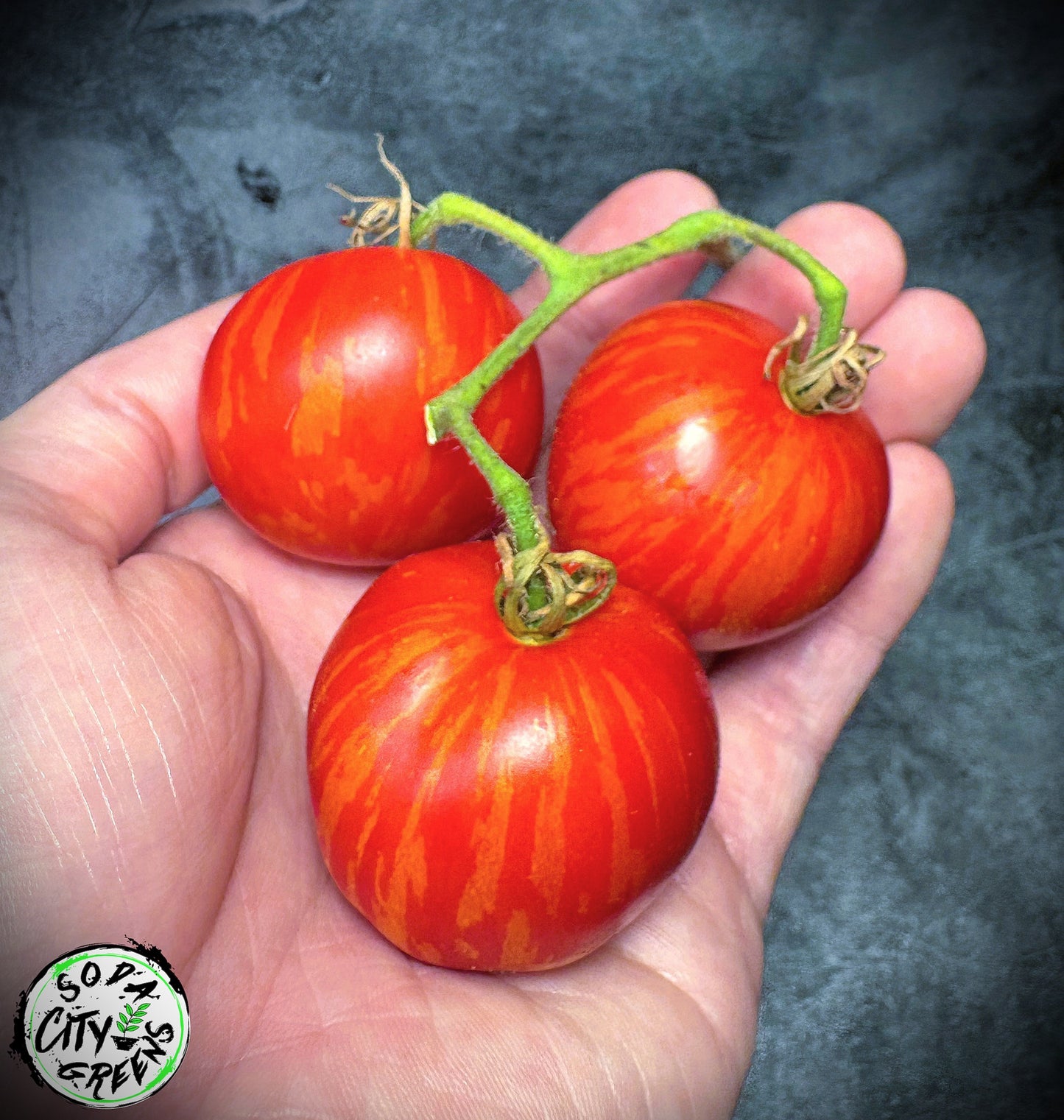 Tigerella Tomato Seeds