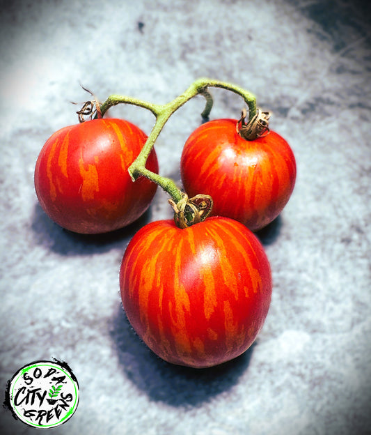 Tigerella Tomato Seeds