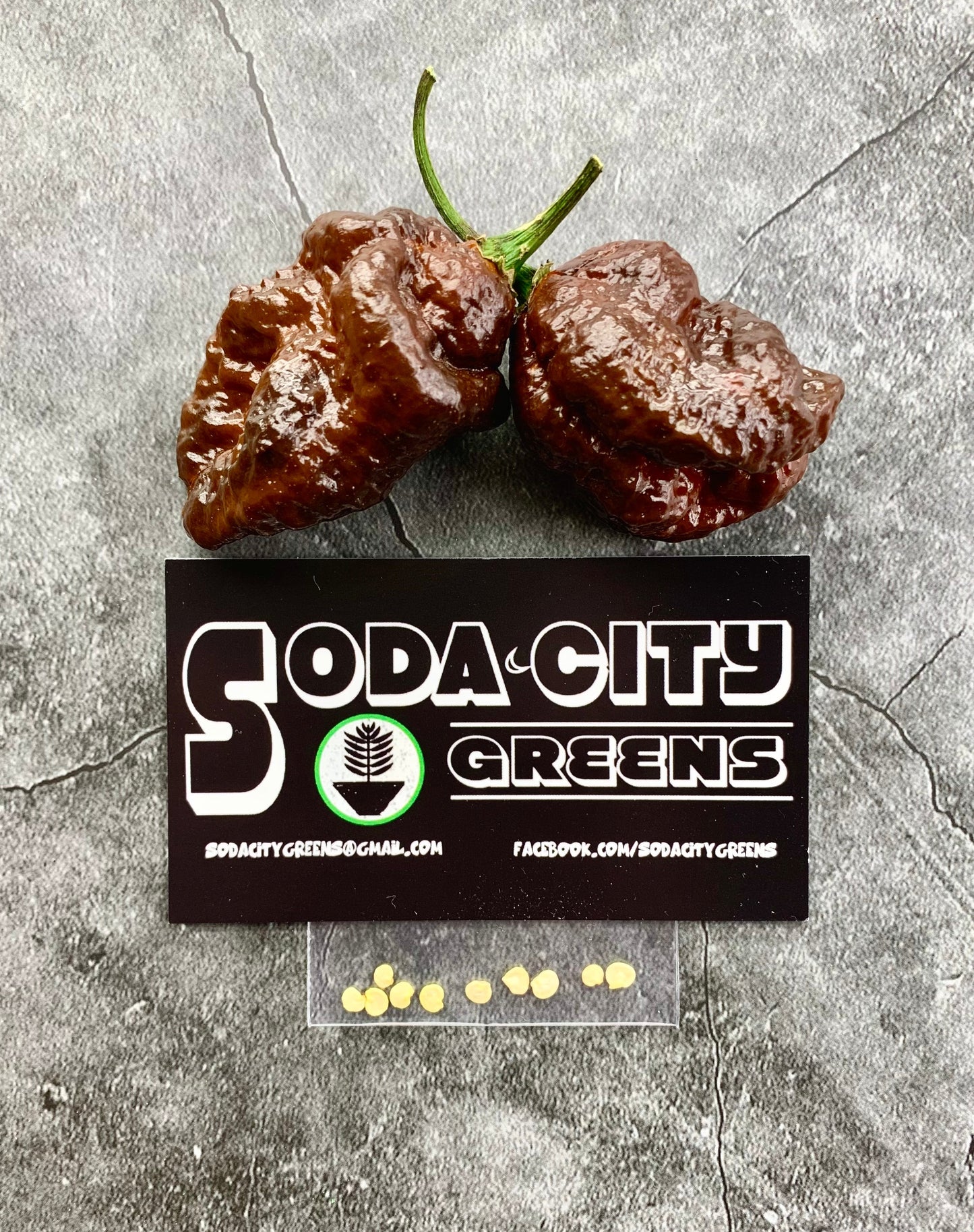 Apocalypse Chocolate Scorpion Pepper Seeds