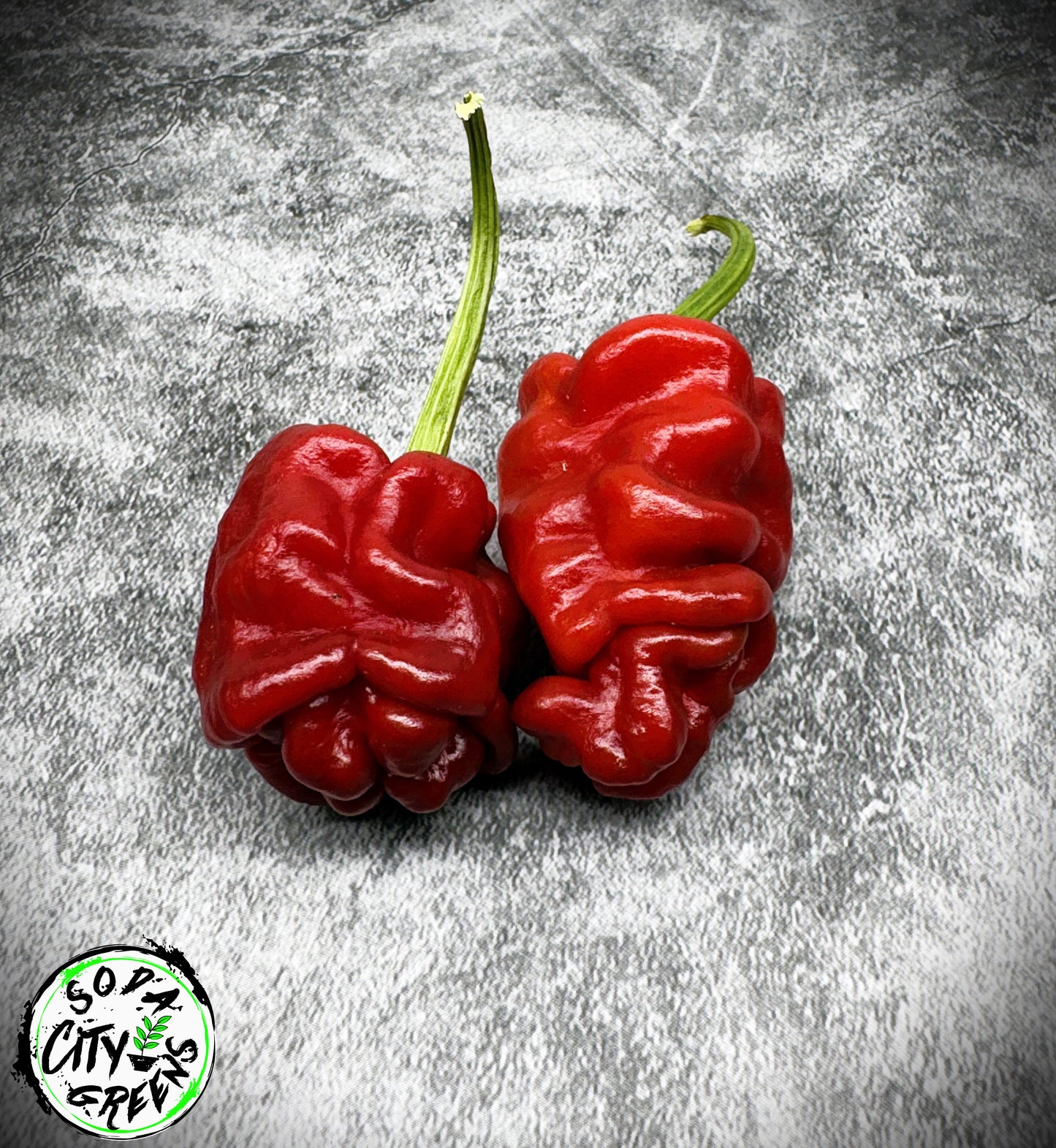 Sharpei (Zou Pi) Chinese Pepper Seeds