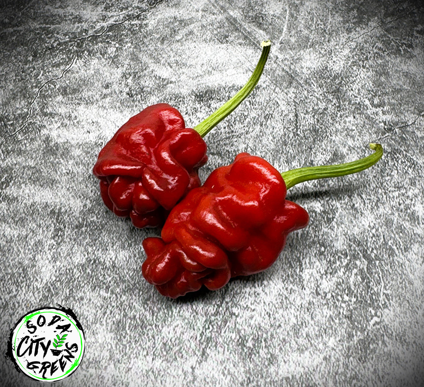 Sharpei (Zou Pi) Chinese Pepper Seeds