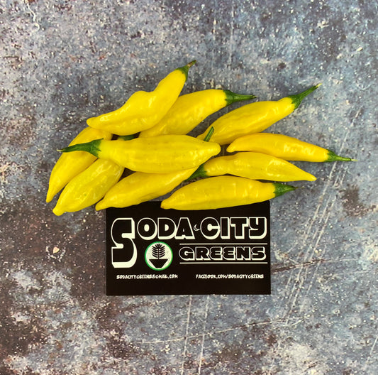 Aji Lemon Pepper Seeds