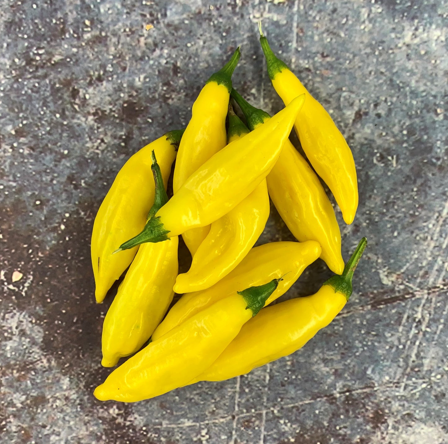 Aji Lemon Pepper Seeds