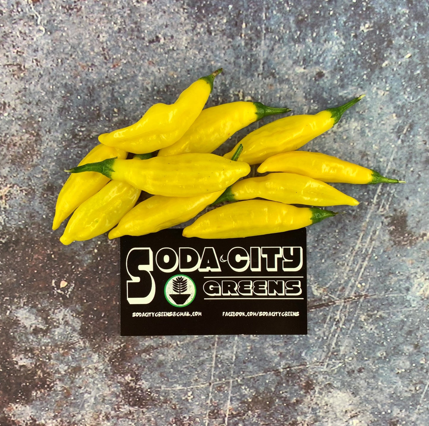 Sweet Heat Pepper Seed Variety Pack (You choose!)