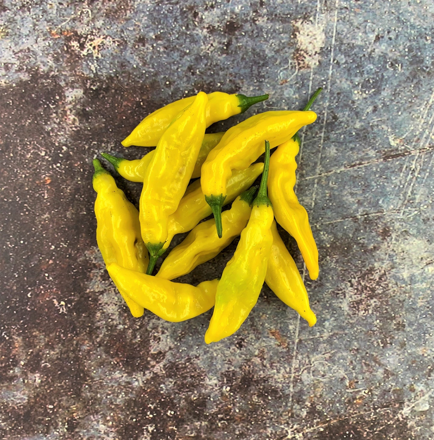 Aji Pineapple Pepper Seeds