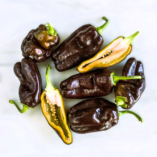 Sweet Chocolate Bell Pepper Seeds