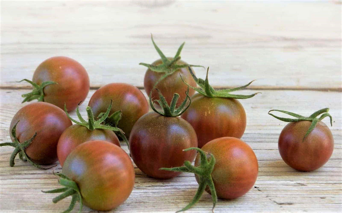 Chocolate Cherry Tomato Live Plants