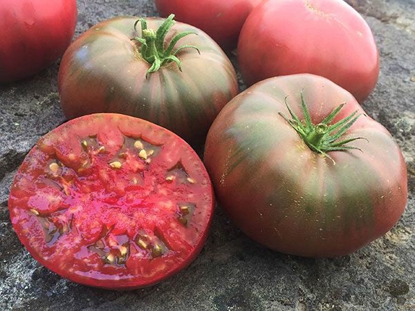 Black Krim (Black Russian) Tomato Live Plants